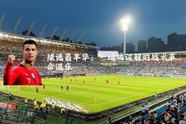 球迷嘉年华：一场被误解的战术革命温床